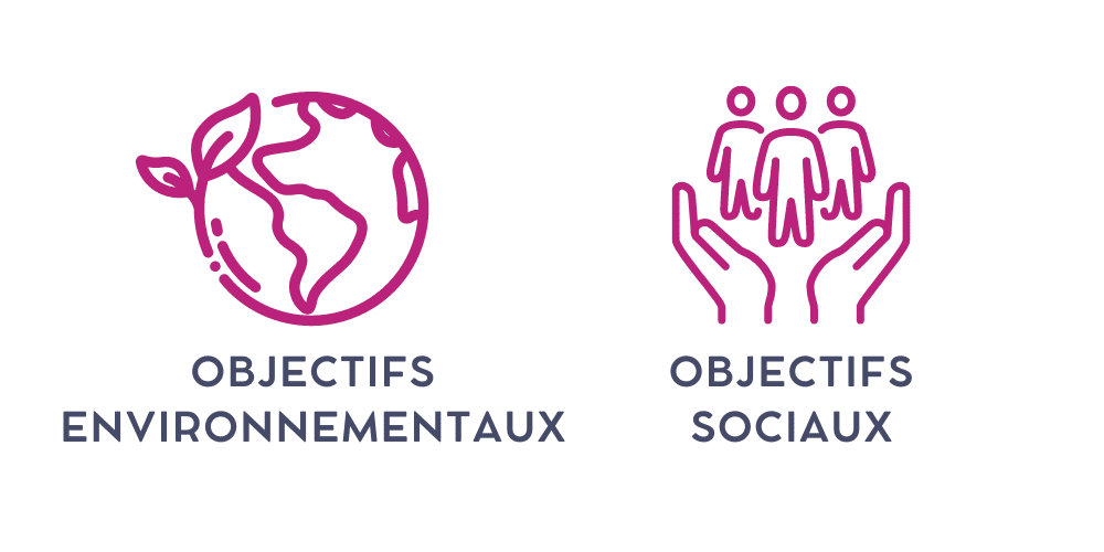 Société à mission objectifs